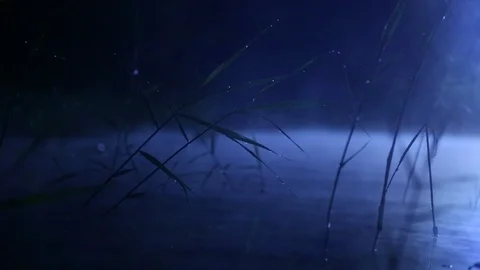 The fog over the water Stock Footage 122822857