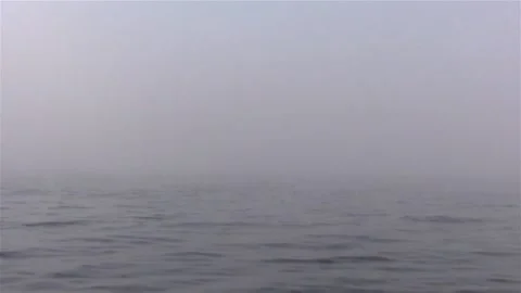 Fog over water. Stock Footage 130738793