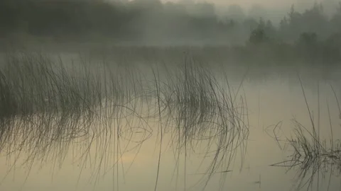 Fog over water Stock Footage 133028088