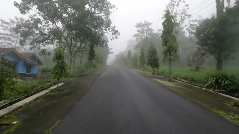 Fog Over Wet Mountain Road – Bromo Region Rainy Day Footage Stock Footage 321103255