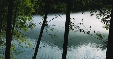 Fog overflowed the Xiaodong River Vidéo 295590973