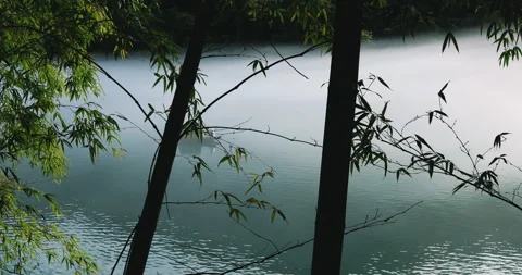Fog overflowed the Xiaodong River Vidéo 295591196