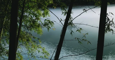 Fog overflowed the Xiaodong River 스톡 동영상 295591329