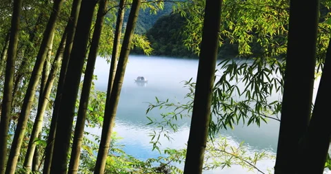 Fog overflowed the Xiaodong River Stock Footage 295591473