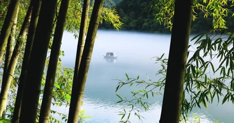 Fog overflowed the Xiaodong River Stock Footage 295591613
