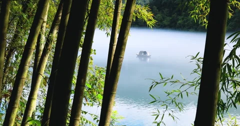 Fog overflowed the Xiaodong River Stock Footage 295591891