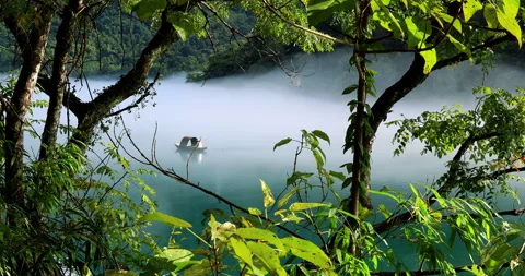 Fog overflowed the Xiaodong River Vidéo 295592095