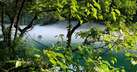 Fog overflowed the Xiaodong River Vidéo 295592138