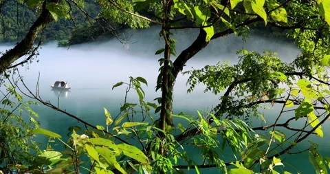 Fog overflowed the Xiaodong River 스톡 동영상 295592320