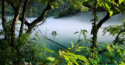Fog overflowed the Xiaodong River Stock Footage 295592589