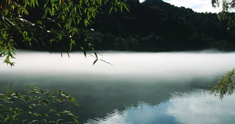 Fog overflowed the Xiaodong River 스톡 동영상 295593233
