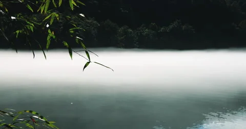 Fog overflowed the Xiaodong River Stock Footage 295593304