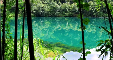 Fog overflowed the Xiaodong River Видео 295597091