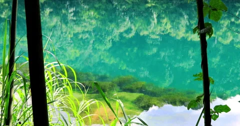 Fog overflowed the Xiaodong River Stock Footage 295597153