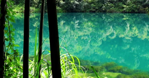 Fog overflowed the Xiaodong River Stock Footage 295597430