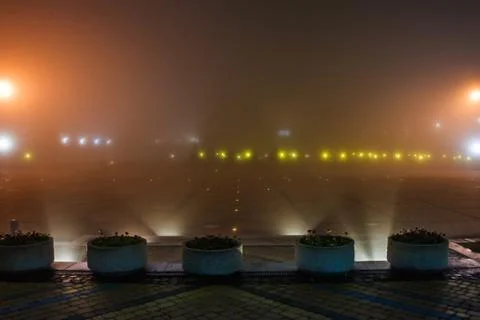 Fog in the park Stock Photos