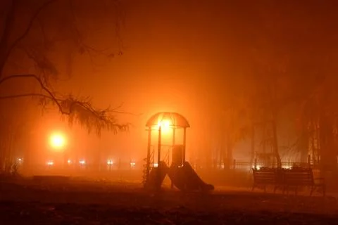 Fog in the Park. Stock Photos