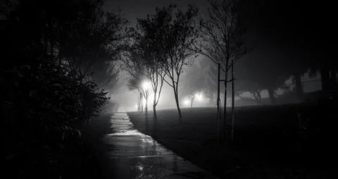 Fog in the Park Stock-Fotos