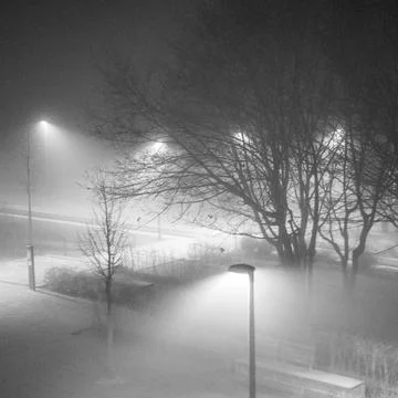 Fog in Park Stock Photos