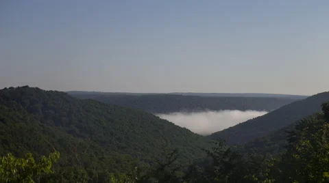 Fog Passes Through Forest Valley 4K Stock Footage 61550673