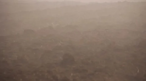Fog passing by on an agricultural soil Stock-Footage 47991889