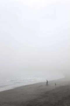 In the Fog Stock Photos