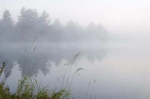 Fog Stock Photos