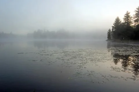 Fog Stock Photos