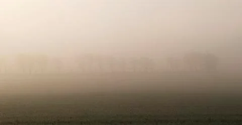 Fog Stock Photos