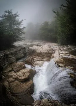 In the Fog Stock Photos