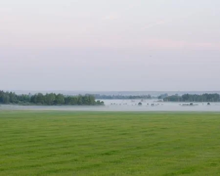 In the fog Stock Photos