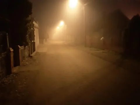 Into the Fog Stock Photos