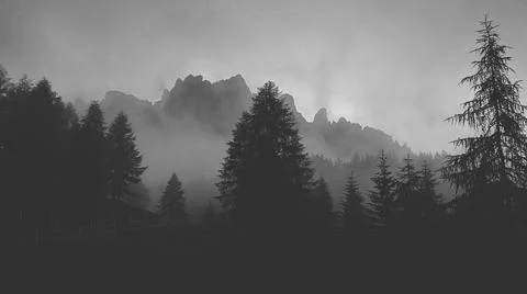 Fog Stock Photos