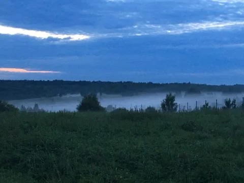 Fog Stock Photos