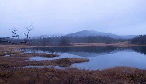 The Fog Foto stock