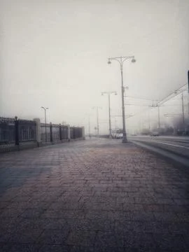 Fog Stock Photos