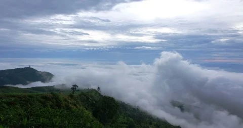 The fog at Phu Thap Berk Mountain Stock Footage 117733472