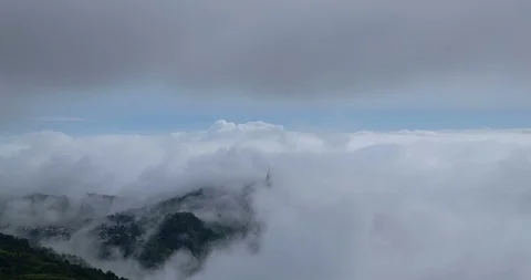 The fog at Phu Thap Berk Mountain Stock Footage 117734542