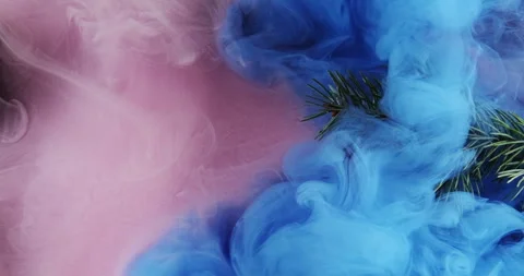 Fog pine sprig smoke cloud green tree blue mist Stock Footage 292862328