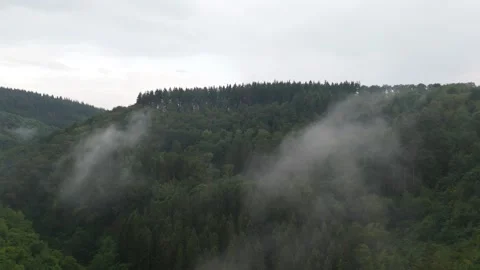 Fog plumes drifting through dense Hunsrück forest slopes 스톡 동영상 340367840