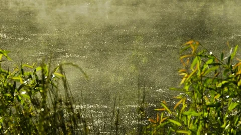 Fog on Pond Stock Footage 69776552