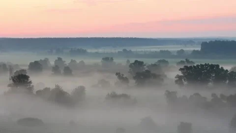 Fog quickly moves on a meadow Stock Footage 90333297