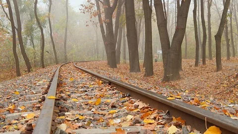 Fog on the railway Stock Footage 119013456