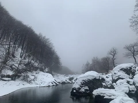 Fog, rain, mountain river Stock Photos