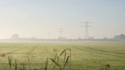 Fog reed plot sunrise field electricity pylon transmission tower dew dutch Stock Footage 218990716
