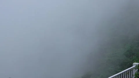 Fog rises up in the mountain Stock Footage 249403891
