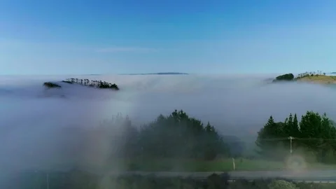Fog rising Stock Footage 251403578