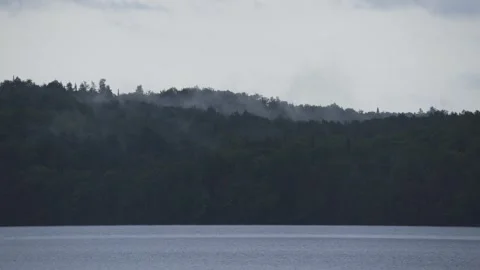 Fog Rising From A Forest Stock Footage 279088820