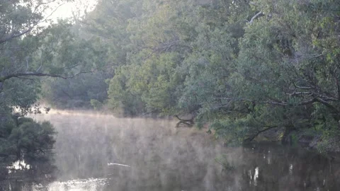 Fog Rising Over Tranquil River at Sunrise Stock Footage 340626823