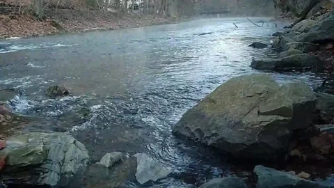 Fog rising off stream Stock-Footage 144626798